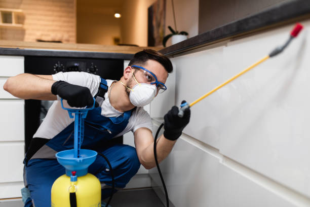 Best Wasp Removal Services  in Oak Island, NC