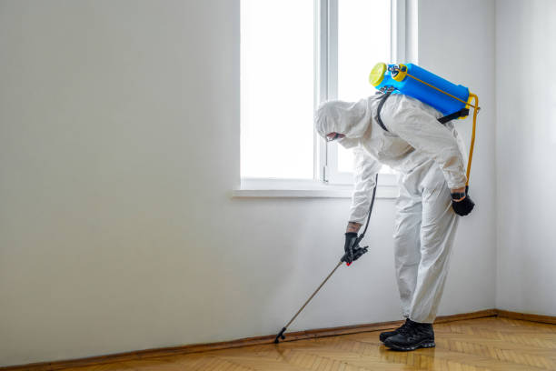 Best Residential Pest Control  in Oak Island, NC