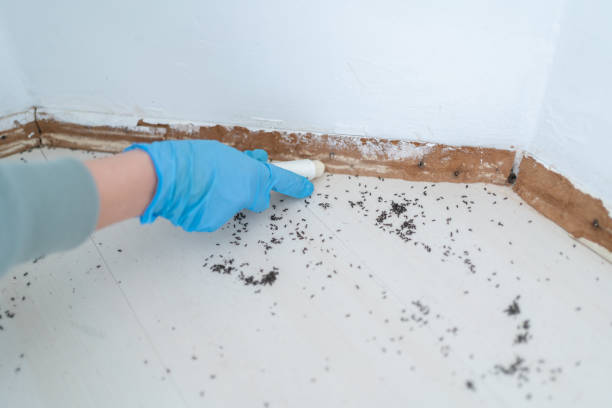 Wildlife Control Services in Oak Island, NC